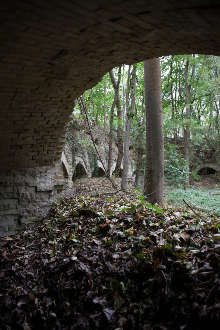 Naturschutzgebiet Hahneberg Galerie von Stefan Losch