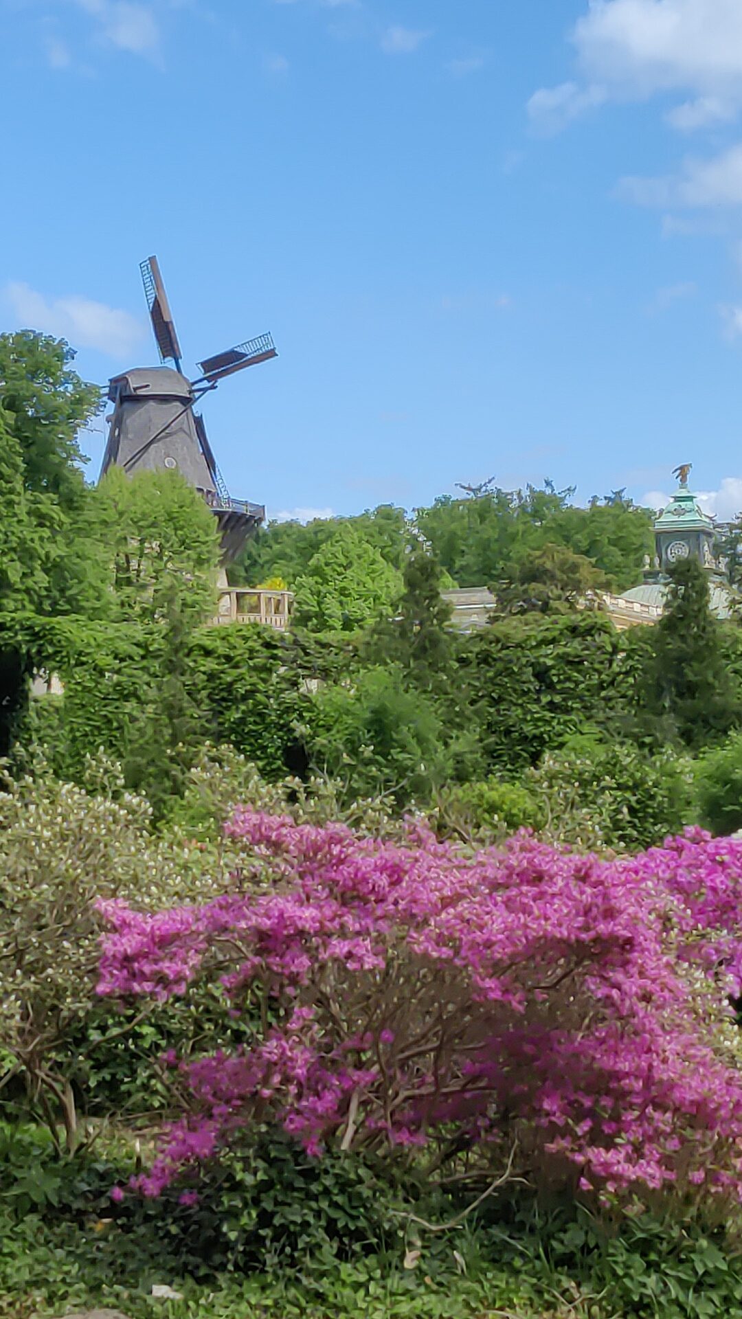 In den Sizilianischen Gärten von Sanssouci